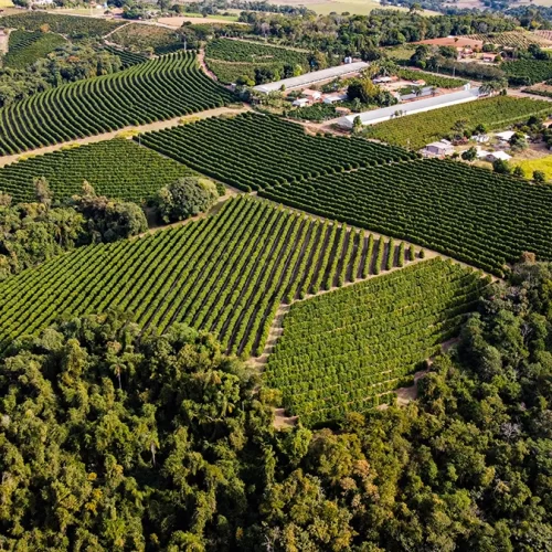 ezgif.com-gif-maker (10)