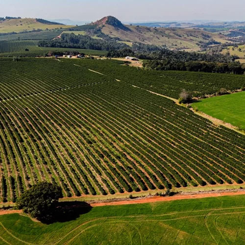 ezgif.com-gif-maker (12)