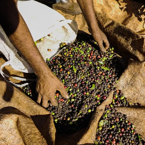 ezgif.com-gif-maker (14)