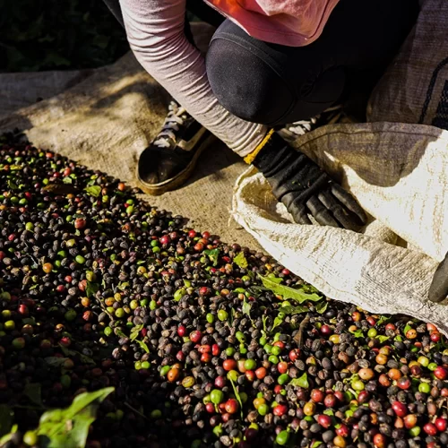 ezgif.com-gif-maker (16)