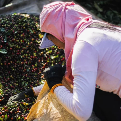 ezgif.com-gif-maker (2)