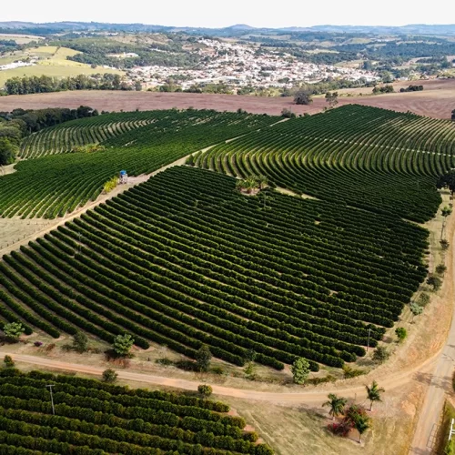 ezgif.com-gif-maker (3)