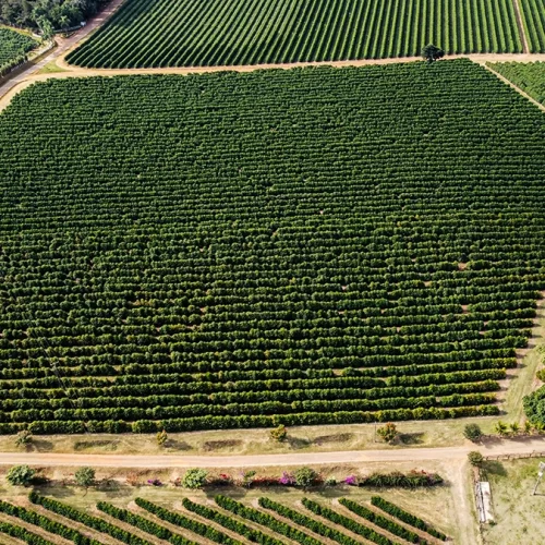 ezgif.com-gif-maker (5)