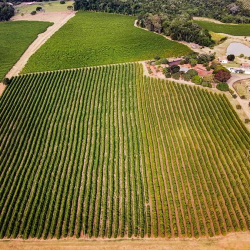 ezgif.com-gif-maker (6)