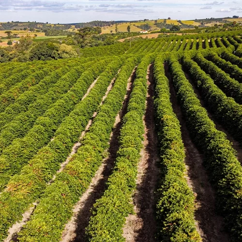 ezgif.com-gif-maker (7)