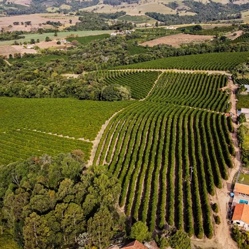 ezgif.com-gif-maker (9)